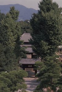 Summer: School gate, Kyodanmon gate, shrine to Confucius (koshibyo)写真