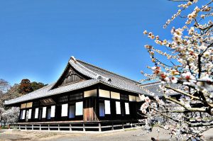 Reception hall (seicho) with plum blossoms写真