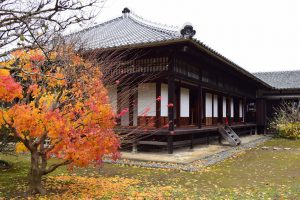 Reception hall (seicho) in fall写真