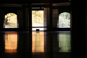 Chinese pistache trees in fall, viewed from the auditorium (kodo)写真