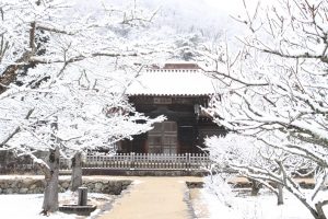 雪景色写真